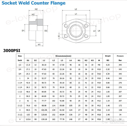 Flange SAE3000 Size G1 1/2"