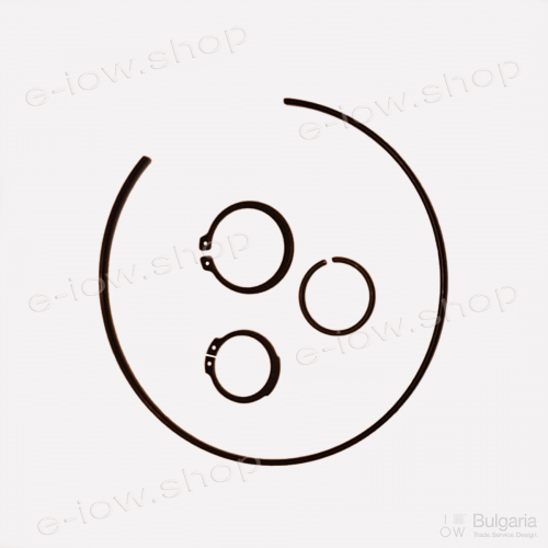 25031 зегерка