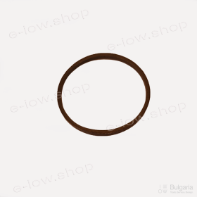 Oil seal